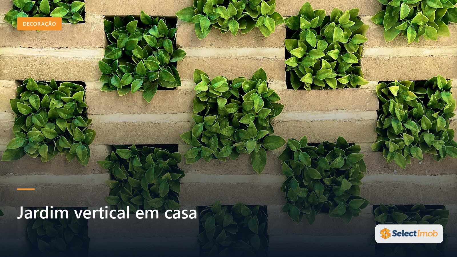 Jardim vertical: o guia essencial para apartamento 2026